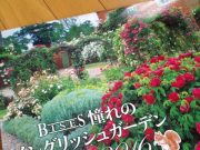 大掃除の準備としてのお片づけ