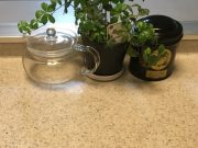 朝家事の質を上げるために~言葉って重要~