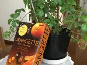 生活をちょっと素敵にする朝のチョコレートタイム