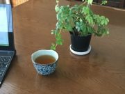 自分の居場所を整えるためのアロマ作戦