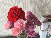 母の日のプレゼントありがとう♪♪