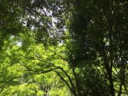 2016年の目標サポートサービスに背中を押される