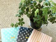 わーんごめんなさい!【追記:ノートのメーカー】