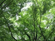 片づけで手が止まった時に試してみたいこと