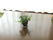 ひとつずつ整える。淡々と。