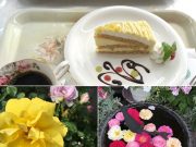 ♪今週もみんなよく頑張りました♪