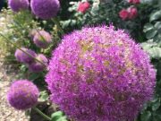 【子育て】へその向きで調節する子どもとの関わり方