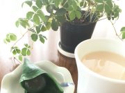 【知らなかった自分と出会う】