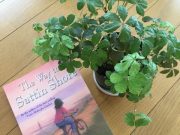 今日は徹底片づけデーです♪