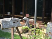 緑の中の自然食レストラン