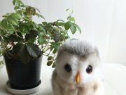 ♪いい年してぬいぐるみの衝動買い♪