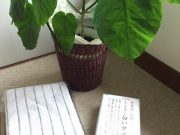 キッチン用の手拭きタオルと食器用タオル