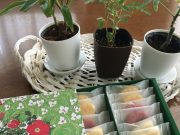 ブログなのに引っ込み思案になる時