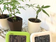 【小5算数】計算プリントで人生を知る♪