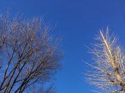 今年もありがとうございました