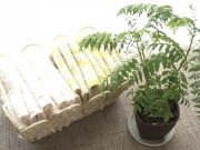 停滞感の原因は意外に些細なことだった