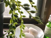 買ってよかった無印のアロマストーン