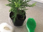 水筒用のブラシが不要になるかもしれない話