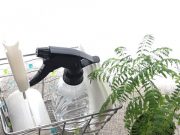 私にとってのトイレ掃除の意味