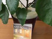 片づけたくない時。こんな風に考えたら素敵かも^^