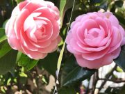 当たり前の中に潜む奇跡