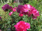 自分の味方になってくれる空間に身を置く