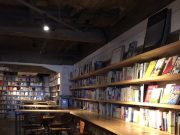 ブログも書かずに何してたのか?っていうと…