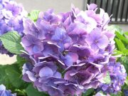 暮らしを整える「わたしプロジェクト」始めます