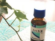 夏に大活躍のハッカ油【お掃除に虫除けに】
