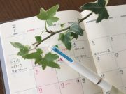 「わたしプロジェクト」頑張ってます