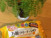 【お掃除】ちょこっと拭きはワクワク感が持続する