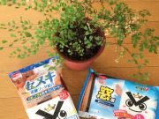 買うチャンスを完全に逃したようです