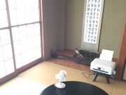 片づければ思いがけない何かが起こる