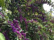 【お掃除】ダメ人間も悪くない