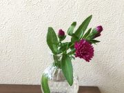 ♪小さなプラン♪