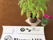 いつも花瓶に花のある生活をめざす人へ