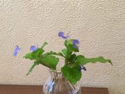 冷蔵庫が買い物基地になってます