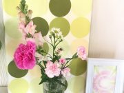 メルマガ関連の写真です