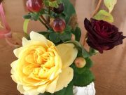 晩秋に似合う薔薇と木の実が届いた