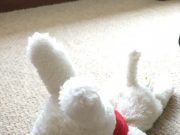 思春期の娘とのバトルが激減した理由