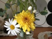 #Bloomee からお花届きましたよ。