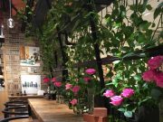 ♪私のパワースポットかもしれない場所