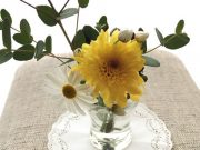 普通に暮らしているだけでも十分すごい