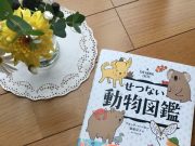 自分が人生に求めているものを知るヒント