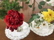 Bloomeeからお花が届いたよ。