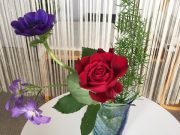 ちょっと後ろ向きなメルマガの内容