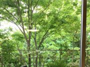 旅先の宿の窓際で仕事してみた