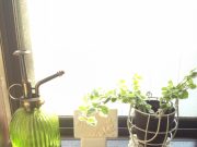 トイレ掃除を100日連続で仕事の依頼が3倍に!