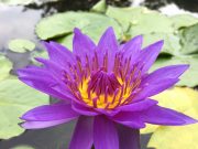 旅行後スムーズに日常に戻るためのコツ