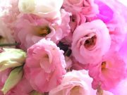 汚れはこわくないことを知る(お掃除のコツその3)